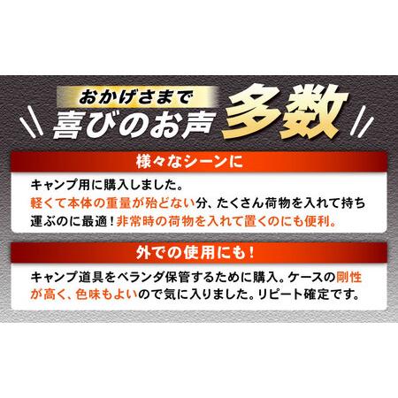 ふるさと納税 トランクカーゴ Sサイズ 2個組 ベージュ / 恵那市 / 東谷 [AUAD132] 岐阜県恵那市_1