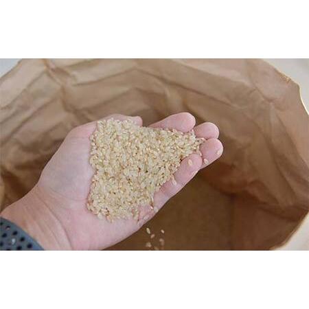 ふるさと納税 令和7年度 山形県産 つや姫 玄米 30kg お米 米 米米 ご飯 ごはん つやひめ ブランド米 銘柄米 2025年産 令和7年度産 30キロ 家庭用.. 山形県戸沢村の画像