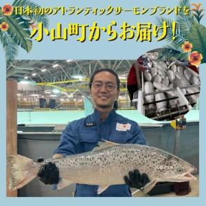 ふるさと納税 ポキ丼 サーモン 冷凍 約160g×4P コク旨ごまだれ サーモン 海鮮丼 静岡県小山町_2