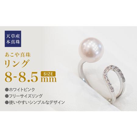 ふるさと納税 S101-378_あこや真珠 ホワイトピンク 8mm - 8.5mm 1粒 フリーサイズ リング SV シルバー 真珠 ジルコニア 熊本県天草市