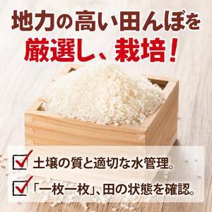 ふるさと納税 【7ヶ月定期便】茨城県産コシヒカリ 精米 5kg｜精米 定期便 お米 米 こめ コメ ごはん 白米 阿見町 茨城県 茨城県産 茨城県産米 .. 茨城県阿見町の画像
