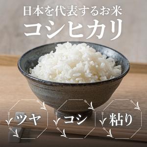 ふるさと納税 【7ヶ月定期便】茨城県産コシヒカリ 精米 5kg｜精米 定期便 お米 米 こめ コメ ごはん 白米 阿見町 茨城県 茨城県産 茨城県産米 .. 茨城県阿見町の画像