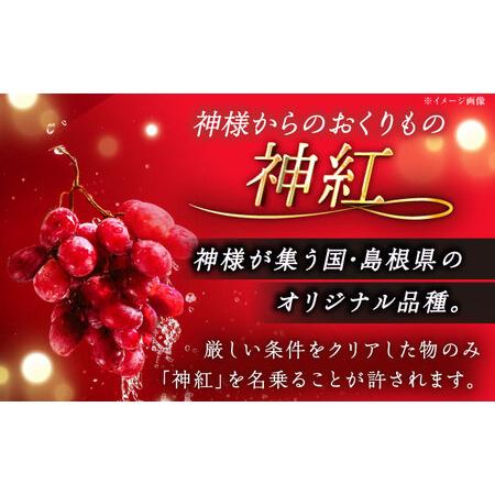 ふるさと納税 【2026年8月初旬頃から順次発送】【秀品】ぶどう 食べ比べ シャインマスカット 神紅 各1房 詰め合わせ セット[AIAA004] 島根県雲南市の画像