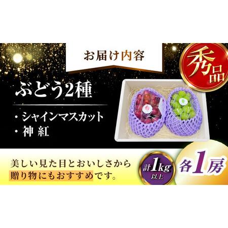ふるさと納税 【2026年8月初旬頃から順次発送】【秀品】ぶどう 食べ比べ シャインマスカット 神紅 各1房 詰め合わせ セット[AIAA004] 島根県雲南市の画像