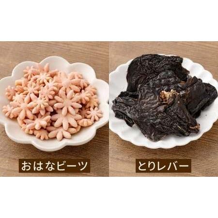 ふるさと納税 ペットフード 詰め合わせセット C 計430g 6種類 ドッグフード 犬用 おやつ おやつセット 餌 犬 イヌ いぬ ペット ペット用 無添.. 福岡県北九州市_4