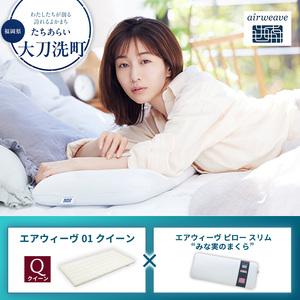 ふるさと納税 [大刀洗町限定]エアウィーヴ01 クイーン × エアウィーヴ ピロー スリム “みな実のまくら" 福岡県大刀洗町