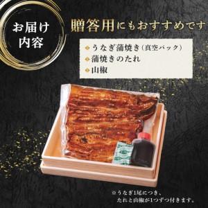 ふるさと納税 鰻蒲焼 9尾 約1440g〜1620g 角の坊 ウナギ 国産 鰻 蒲焼き 手焼き 無意味さ風呂敷き包み 鰻 土用丑の日 うな重 うな丼 晩ごはん 身寄り .. 静岡県三島市