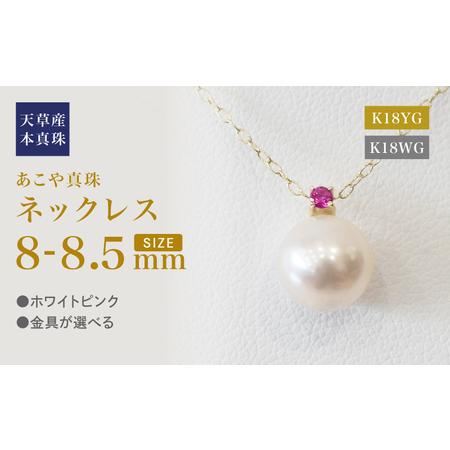 ふるさと納税 S101-519_あこや真珠 ペンダント ネックレス 8mm - 8.5mm 天草 熊本 ホワイトピンク 誕生石 7月 ルビー 半貴石 本真珠 K18 熊本県天草市