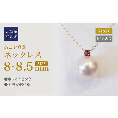 ふるさと納税 S101-528_あこや真珠 ペンダント ネックレス 8mm - 8.5mm 天草 熊本 ホワイトピンク 誕生石 10月 ピンクトルマリン 半貴石 本真珠 .. 熊本県天草市