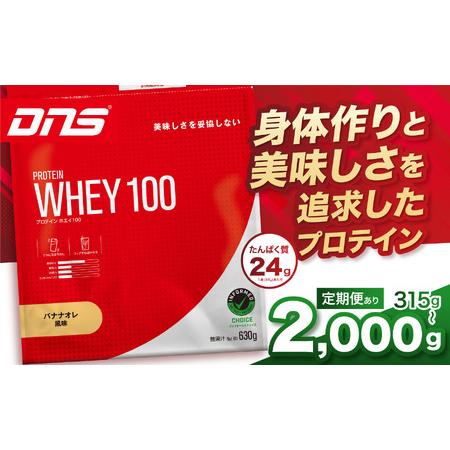 ふるさと納税 [定期便3回]DNS プロテインホエイ 100 バナナオレ 風味 315g 栃木県真岡市