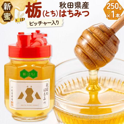 ふるさと納税 [先行受付][新蜜]小松養蜂場 はちみつ 秋田県産 100% ピッチャー入 栃蜂蜜 250g 秋田県由利本荘市