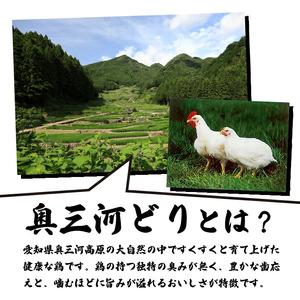 ふるさと納税 【調理済】奥三河どりの串焼き 40本（塩）選べる8種 各5本 鶏肉 鳥肉 焼鳥 焼き鳥 やきとり セット 小分け 総菜 おかず おつまみ 愛知県春日井市_4