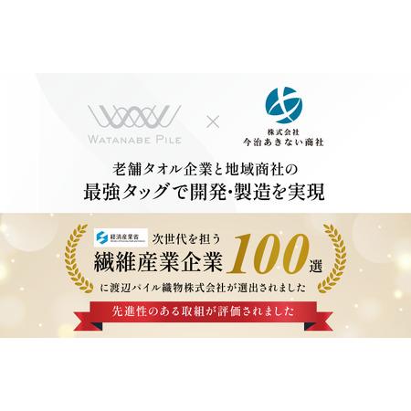 ふるさと納税 （今治タオルブランド認定） 上質ミニバスタオル 4枚セット ホワイト [I003990MBTW] 今治タオル 渡辺パイル織物 ふるさと納税 限定.. 愛媛県今治市の画像