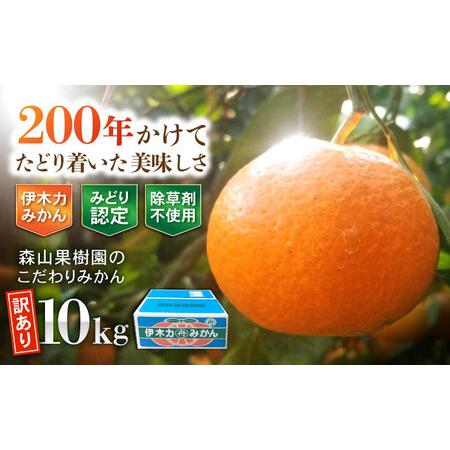 ふるさと納税 【訳あり】伊木力産 森山果樹園のこだわりみかん 10kg