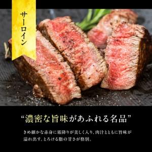 ふるさと納税 A5等級飛騨牛　霜降りステーキ 600g 岐阜県大垣市_1