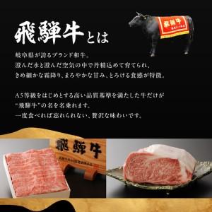 ふるさと納税 A5等級飛騨牛　霜降りステーキ 600g 岐阜県大垣市_2
