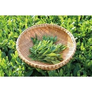 ふるさと納税 抹茶20g　上煎茶30g　セット 奈良県山添村_3
