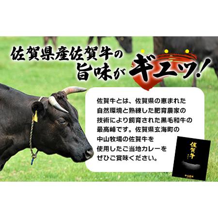 ふるさと納税 佐賀牛カレー 150g 30個 | 佐賀牛と野菜の深い味わい | 贅沢レトルトカレー 30個セット F-74 ご当地カレー 温めるだけ 湯煎 牛カレ.. 佐賀県鹿島市の画像