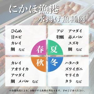 ふるさと納税 鮮魚 冷蔵 クール便「 開けたらすぐ食べられる下処理済み 海産物 4〜5人前 セット 」佐藤鮮魚店【 パック 詰め合わせ 海鮮セット.. 秋田県にかほ市_2
