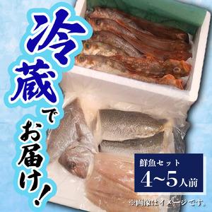 ふるさと納税 鮮魚 冷蔵 クール便「 開けたらすぐ食べられる下処理済み 海産物 4〜5人前 セット 」佐藤鮮魚店【 パック 詰め合わせ 海鮮セット.. 秋田県にかほ市_3
