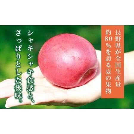 ふるさと納税 旬のネクタリン 約1.8kg 5〜15玉 ［小布施屋］ 果物 フルーツ 桃 もも 長野県産 小布施 冷蔵便 クール便 産地直送 数量限定 送料.. 長野県小布施町の画像