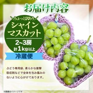 ふるさと納税 『2026年発送 先行受付』 ちょっと訳あり 信州産 新鮮朝採りシャインマスカット 2〜3房1kg【配送不可地域：離島】【1625533】 長野県高山村_3