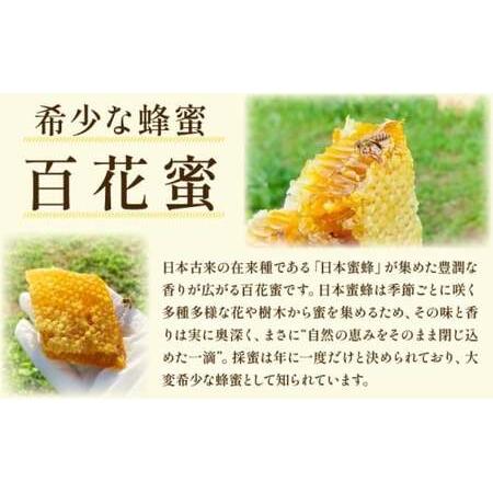 ふるさと納税 日本蜜蜂の純粋はちみつ 500g×1 蜜蝋100g付 佐賀県上峰町の画像