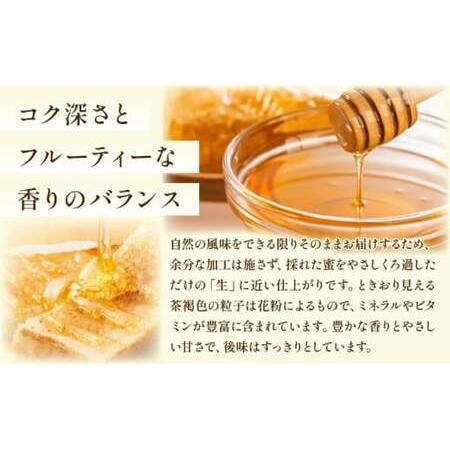ふるさと納税 日本蜜蜂の純粋はちみつ 500g×1 蜜蝋100g付 佐賀県上峰町の画像
