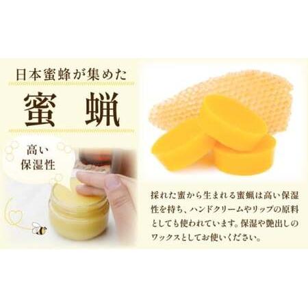 ふるさと納税 日本蜜蜂の純粋はちみつ 500g×1 蜜蝋100g付 佐賀県上峰町の画像
