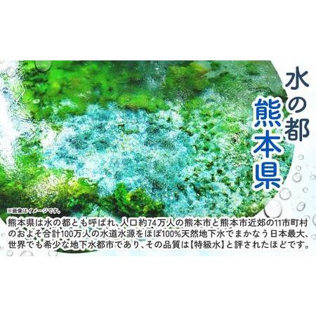 ふるさと納税 【3ヶ月定期便】熊本のおいしいお水 阿蘇のメイスイ 2L×6本（1ケース） 熊本県宇城市の画像