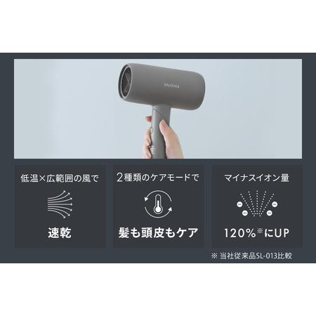 ふるさと納税 【ドライヤー】SALONIA スムースシャインドライヤー_