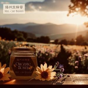 ふるさと納税 播州生蜂蜜 〜Miel cru bansyu 250g / 天然 生蜂蜜 はちみつ 非加熱 ハニー 兵庫県稲美町の画像