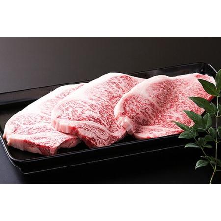 ふるさと納税 【全12回定期便】佐賀牛9.7kgコース（3〜6人分）：C526-001 佐賀県佐賀市_2