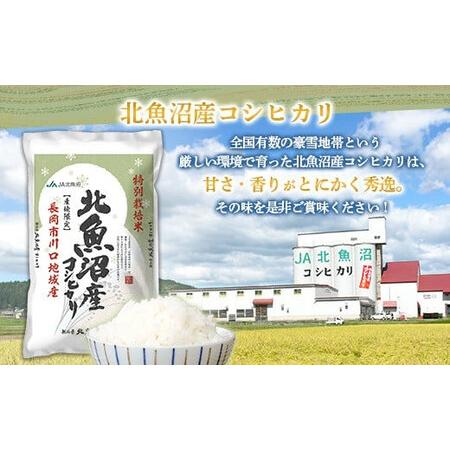 ふるさと納税 7T05A-1北魚沼産コシヒカリ特別栽培米5kg（長岡川口地域）【2026年5月発送】 新潟県長岡市_4