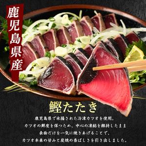 ふるさと納税 カツオ ブリのたたき だし ポン酢付き 海の幸満喫セット 指宿食品 IB026-001 かつお 鰹 鹿児島県指宿市_1