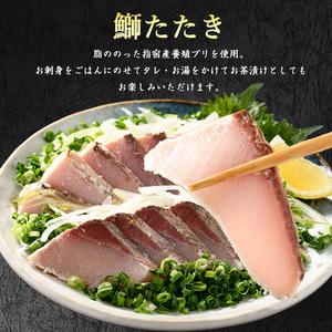 ふるさと納税 カツオ ブリのたたき だし ポン酢付き 海の幸満喫セット 指宿食品 IB026-001 かつお 鰹 鹿児島県指宿市_2