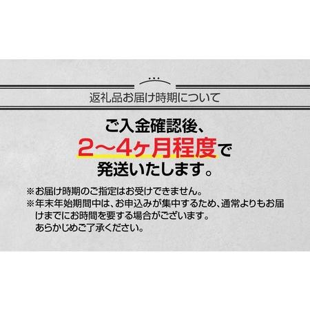 きゃめる ふるさと納税 スリクソンZXi ゴルフクラブ8本セット キャディバッグ付