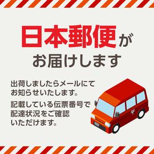 ふるさと納税 〈innowa〉忘れ物探知機 0170-006-S07 東京都新宿区