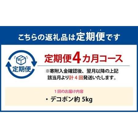 ふるさと納税 【年4回定期便】 デコポン約5kg（15〜20玉入り）×4回 （計約20kg） 【2026年12月上旬発送開始】 でこぽん 果物 くだもの フルーツ .. 熊本県_1