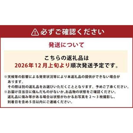 ふるさと納税 【年4回定期便】 デコポン約5kg（15〜20玉入り）×4回 （計約20kg） 【2026年12月上旬発送開始】 でこぽん 果物 くだもの フルーツ .. 熊本県_2
