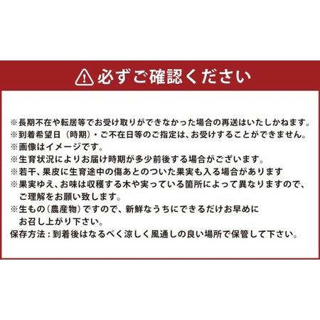 ふるさと納税 【年4回定期便】 デコポン約5kg（15〜20玉入り）×4回 （計約20kg） 【2026年12月上旬発送開始】 でこぽん 果物 くだもの フルーツ .. 熊本県_3