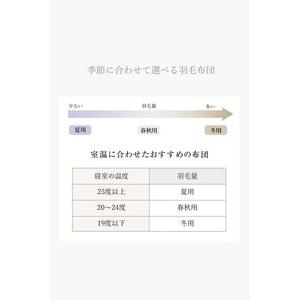 ふるさと納税 630FP本掛け クイーン（フランス産ダウン使用） 羽毛布団 ホワイトダウン 90％以上 冬用 サテン生地 日本製 羽毛 ダウン 掛け布.. 山梨県北杜市の画像