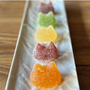 ふるさと納税 しょこら亭 シャ・ド・フリュイ（chat・do・fruits） 10個入×2仕かける 御菓子 御菓子 スイーツ 西洋菓子 フランス共和国言い慣わし御菓子 差し上げる .. 新潟県阿賀野市