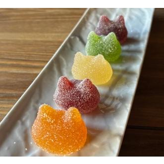 ふるさと納税 しょこら亭 シャ・ド・フリュイ（chat・do・fruits） 10個入×2仕かける 御菓子 御菓子 スイーツ 西洋菓子 フランス共和国言い慣わし御菓子 差し上げる .. 新潟県阿賀野市