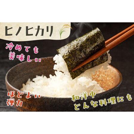 ふるさと納税 （定期便）2ヵ月 令和７年産米 奈良県産 ヒノヒカリ 20kg（10kg×2回） 万葉の里ふるさと米 白米 ／ お米 おこめ 精米 .. 奈良県田原本町の画像