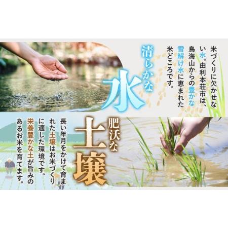 ふるさと納税 《令和8年産 新米受付》《定期便7ヶ月》【白米】極上秋田銘柄米 ひとめぼれ 5kg 秋田県由利本荘市_3