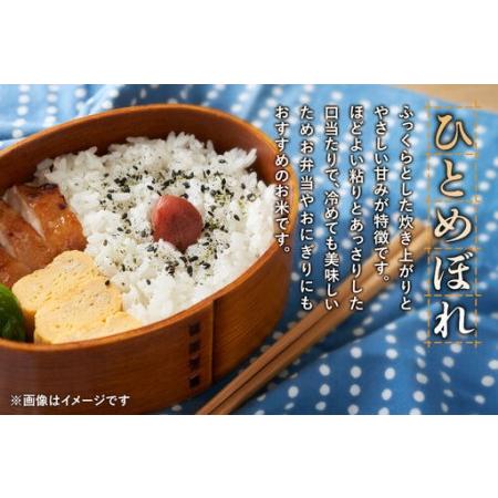 ふるさと納税 《令和8年産 新米受付》《定期便7ヶ月》【白米】極上秋田銘柄米 ひとめぼれ 5kg 秋田県由利本荘市_4