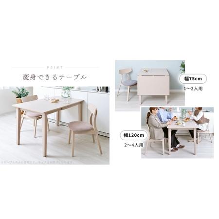 ふるさと納税 伸長式テーブル Astty(アスティー)　家具 インテリア テーブル ダイニングテーブル 伸長式 兵庫県小野市_2