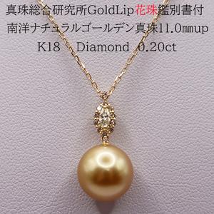 ふるさと納税 1955 [真珠総合研究所GoldLip花珠鑑別書付]K18 南洋ナチュラルゴールデン真珠11.0mmup ダイヤモンド0.20ct ペンダントネック.. 三重県伊勢市