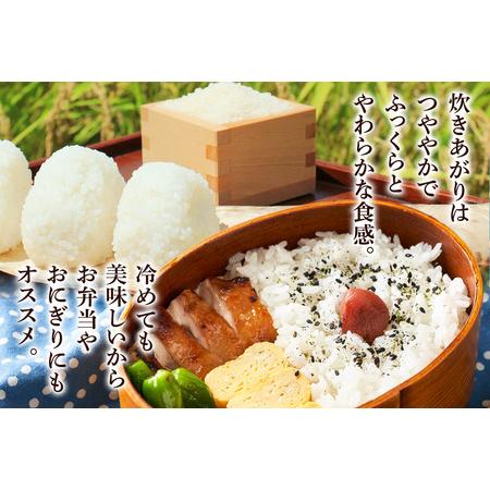 ふるさと納税 《令和7年産》《定期便5ヶ月》 米 あきたこまち 5kg 【白米】 秋田県産 秋田県横手市の画像